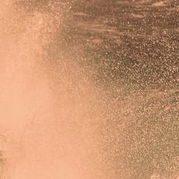 Endless Summer Glow Package 